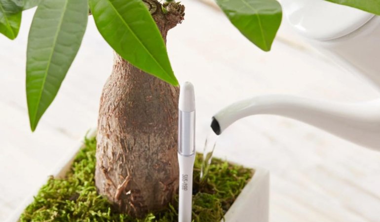 NEW! Sustee - plant moisture meter