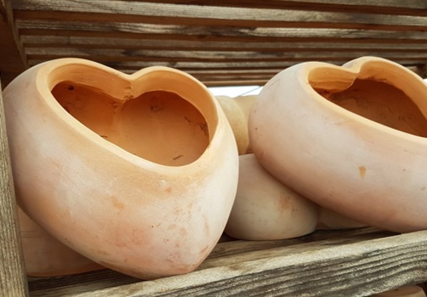 Terracotta and ceramic pots
