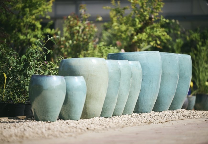 Terracotta and ceramic pots