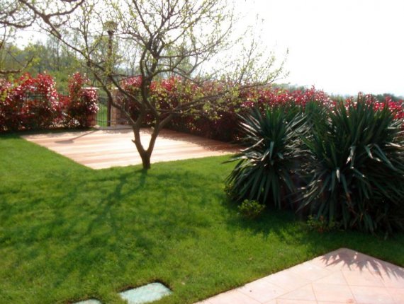 Garden in Mareda